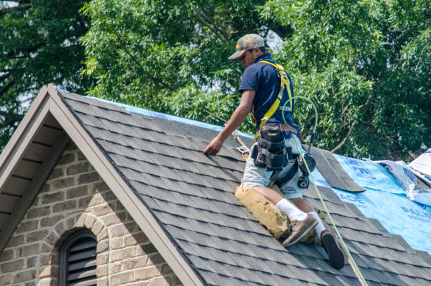 Best Shingle Roofing Installation  in Burlington, OH